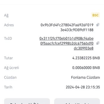 Binance Pancakeswap Sahte Coin Alımı