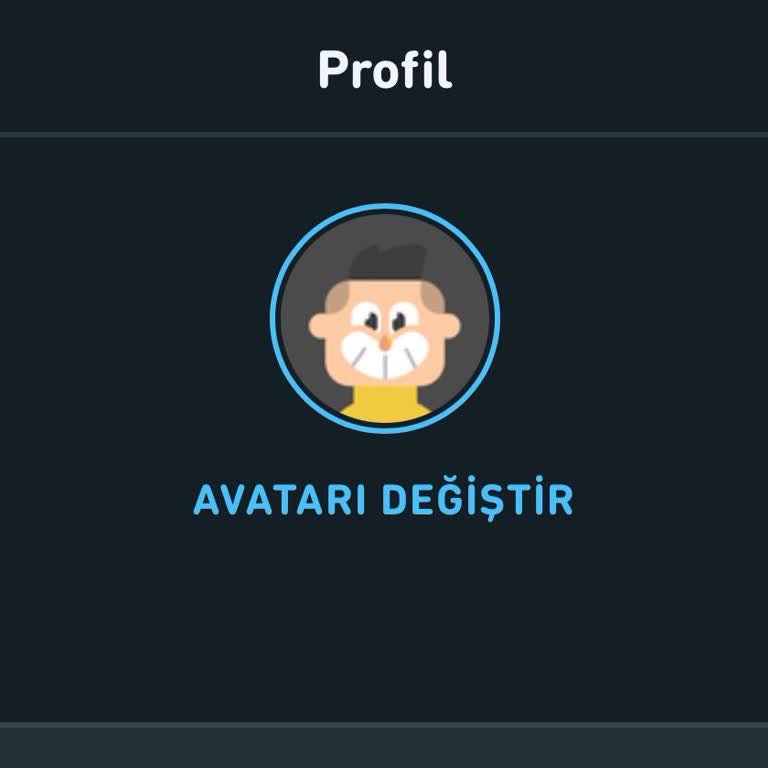 Duolingo Profil Resmimi Uygulama Kabul Etmiyor