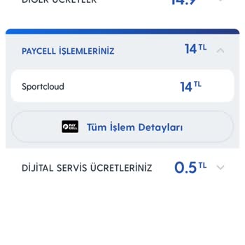 Vizyon Elektronik Para Firmasının Faturalara Alakasız Tutar Eklemesi