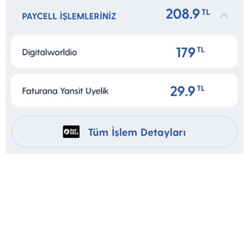 Vizyon Elektronik Para Firmasının Faturalara Alakasız Tutar Eklemesi
