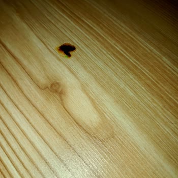 Ttec Şarj Cihazı Yandı Ve Eridi