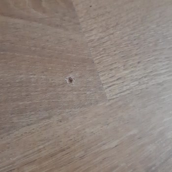 Beko Buzdolabı Matkap Sesi Çıkarıyor