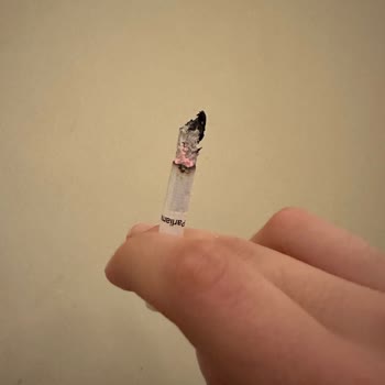 Parliament Night Blue İçinde Yabancı Plastik Ve Odun Bulunuyor