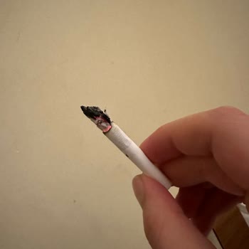 Parliament Night Blue İçinde Yabancı Plastik Ve Odun Bulunuyor