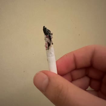 Parliament Night Blue İçinde Yabancı Plastik Ve Odun Bulunuyor