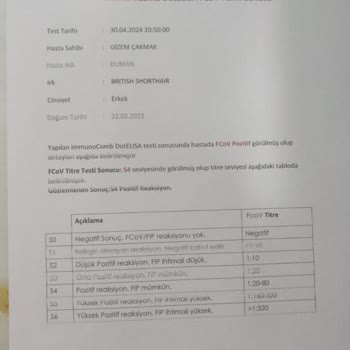 Antlara Hayvan Hastanesi Pişmanlıktır Yanlış Tedavi