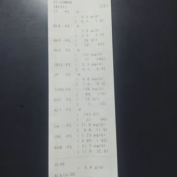 Antlara Hayvan Hastanesi Pişmanlıktır Yanlış Tedavi