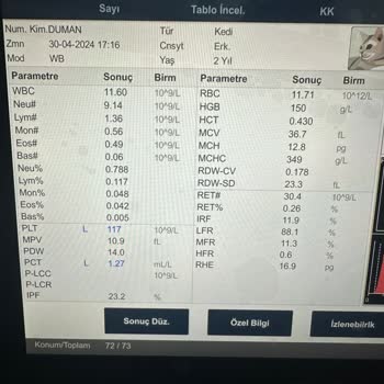 Antlara Hayvan Hastanesi Pişmanlıktır Yanlış Tedavi