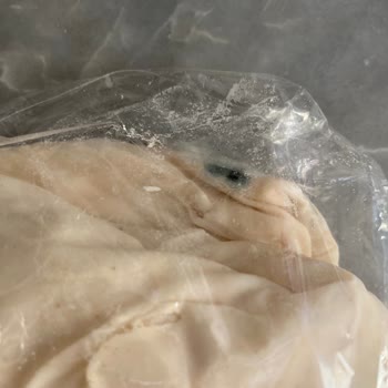 Migros Sanal Market Küflü Ürün Getiriyor