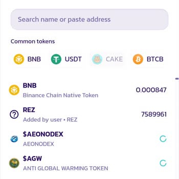 PancakeSwap Rez Coin Mağduriyeti