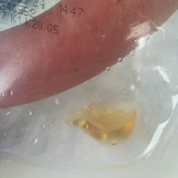 Torku Buzdolabında Sulanmış Sucuk