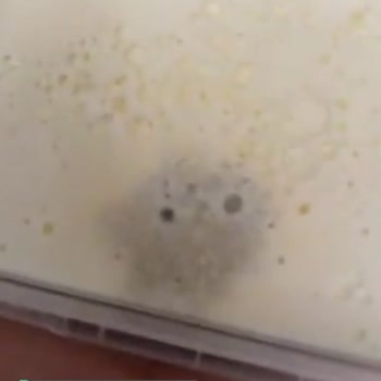 Sütaş Küflenmiş Kaymak Satılmamalı