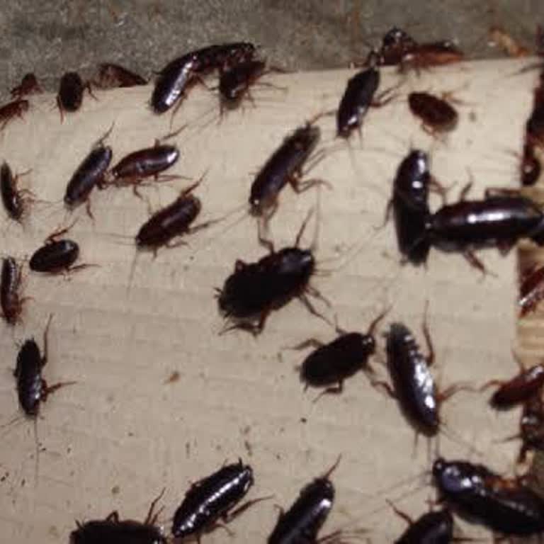 Agoda.com Oda Çok Kötü Ve İptal Etmediğimiz