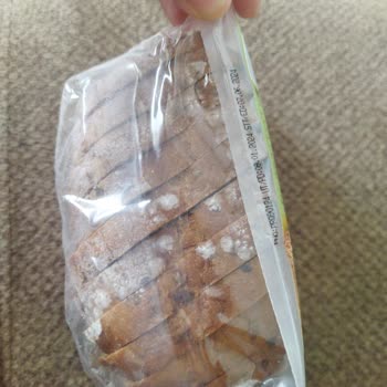 Migros Taze Alınan Ekmekte Küflenme Hayal Kırıklığı