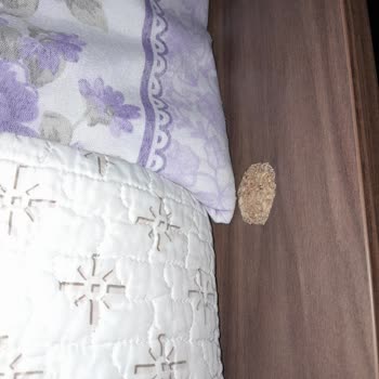 Kelebek Mobilya Şikayeti Ve İlgisizliği