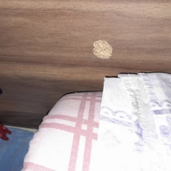 Kelebek Mobilya Şikayeti Ve İlgisizliği