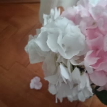 Nettenevime.com Yapay Çiçeklerin Kalitesiz Ve Basitliği!