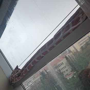 İnci Kız Öğrenci Yurdu (Ankara) Yurt Şikayeti Ve Çalışanların Tavrı