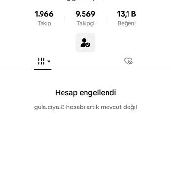 TikTok Hesabım Engellendi Yani Askıya Alındı