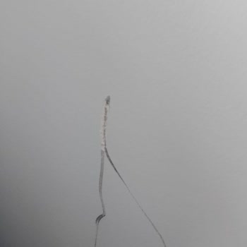 Tutkun Mobilya (Düzce) Düzce Tutkun Mobilya Ve Yarattığı Mağduriyet Ve İlgisizlik