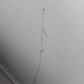 Tutkun Mobilya (Düzce) Düzce Tutkun Mobilya Ve Yarattığı Mağduriyet Ve İlgisizlik