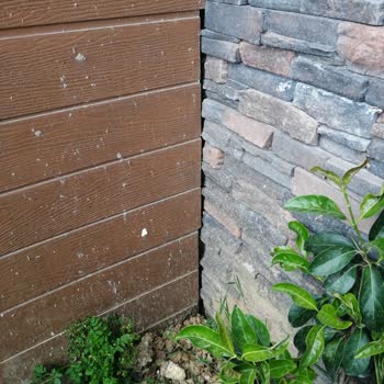 Emlak Konut GYO Şile İdealist Koru Projesi