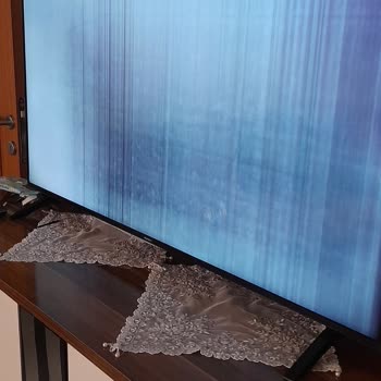 Sunny Televizyon Memnuniyetsizlik Umursamazlık