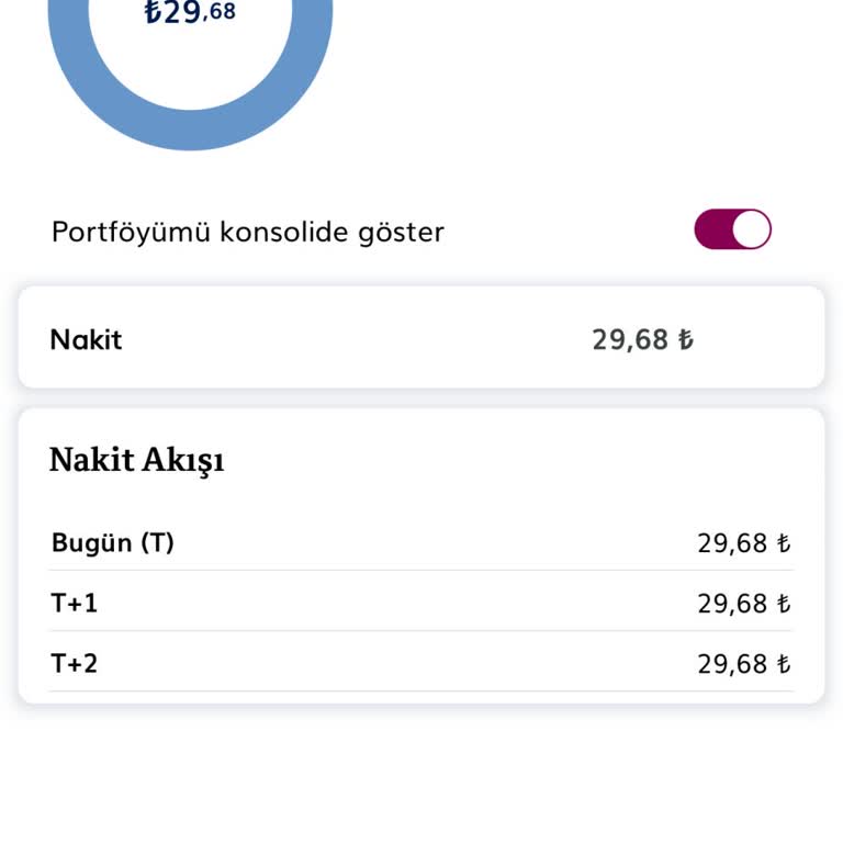 QNB Finansinvest Halka Arz Aldım Görünmüyor