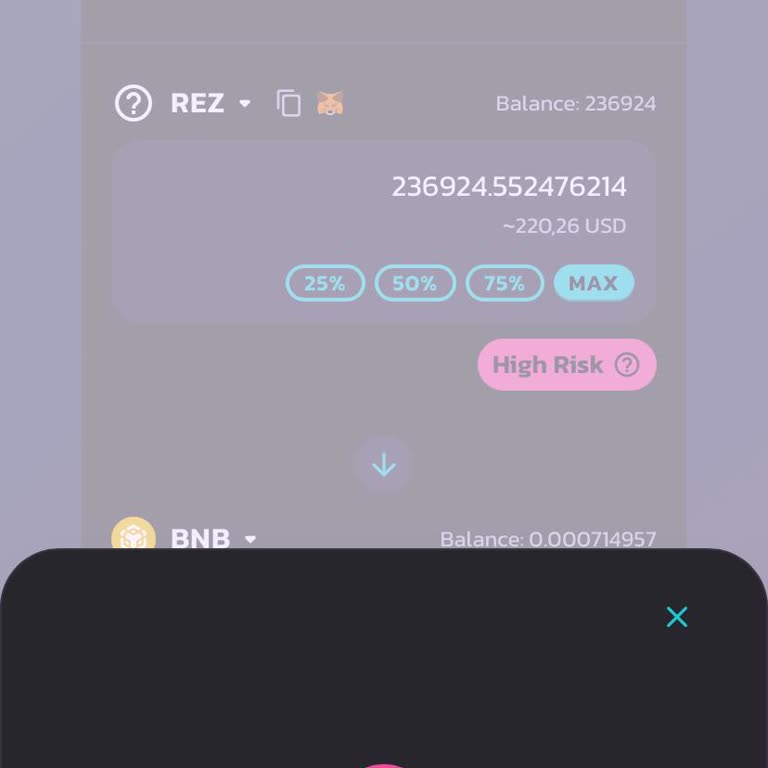 PancakeSwap Rez Coin