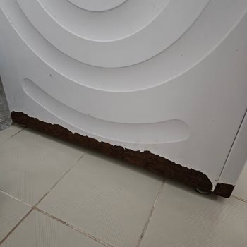 Bosch Çamaşır Makinesi Aşırı Paslanma Sorunu