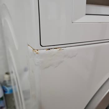 Bosch Çamaşır Makinesi Aşırı Paslanma Sorunu