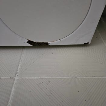 Bosch Çamaşır Makinesi Aşırı Paslanma Sorunu