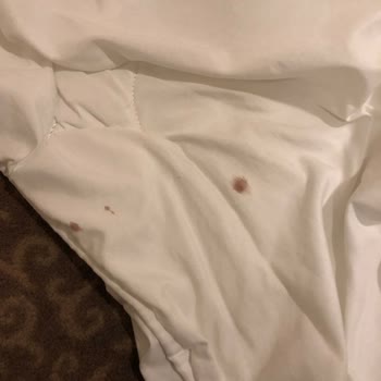 Neva Stargate Hotel & SPA Beklenmedik Hayal Kırıklığı