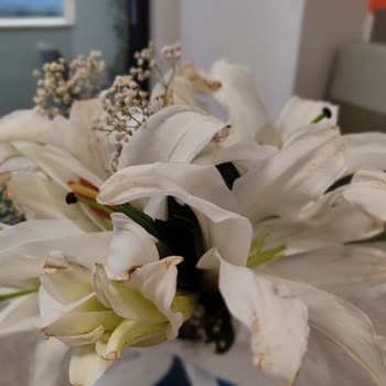 Çiçek Sepeti Kusurlu Ürünü