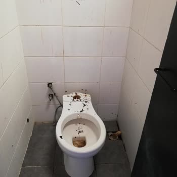 İzmir Büyükşehir Belediyesi 15 Yıldır Gittiğim Piknik Alanının Bakım İhtiyacı