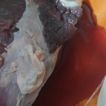 Yemeksepeti Ve Köfteci Yusuf'tan Verdiğim Sipariş!