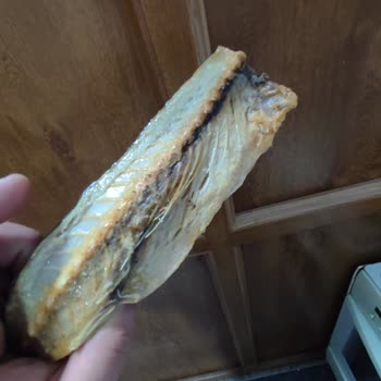 Erba Sea Food Marka Marketten Aldığım Uskumru Sararmış Ve Bozuk Çıktı