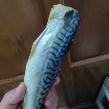 Erba Sea Food Marka Marketten Aldığım Uskumru Sararmış Ve Bozuk Çıktı