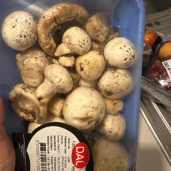 Carrefour SA Online Alışverişte Çürük Patlak Bozuk Gelen Ürünler