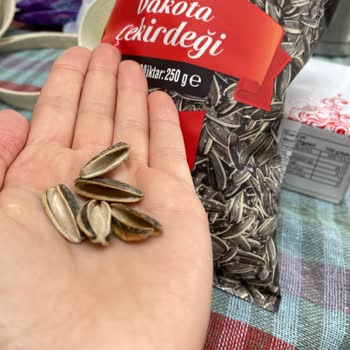 Çerezya Dekota Çekirdeği İçleri Boş Çıktı