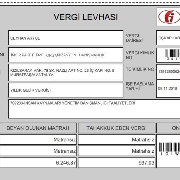 İncir Paketleme Evde İş İmkanı