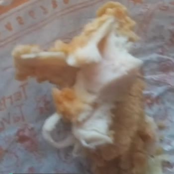 Popeyes  Çiğ Tavuk Burger Gönderdi, Videoya Çektim!