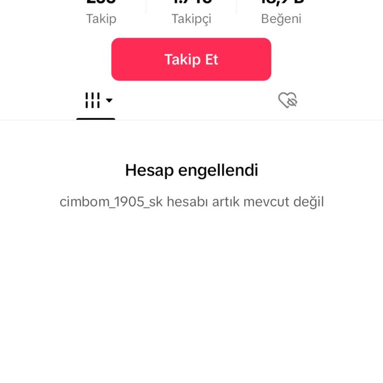 TikTok Hesabım Neden Kapatıldı
