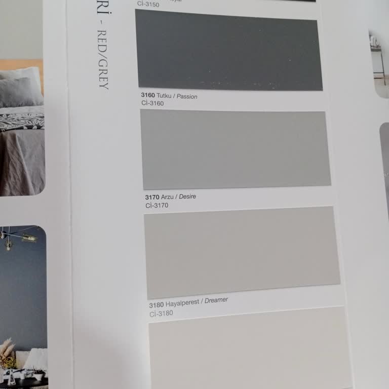 Polisan Hayalperest Gri Boya Sonucu Lila Renk Oluştu Yardımcı Olurmuşuz