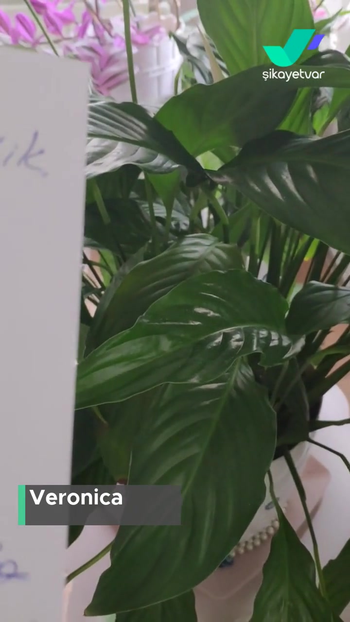 Enza Güzellik Merkezleri Tehdit Ve Kötü Personel! videonun kapak resmi