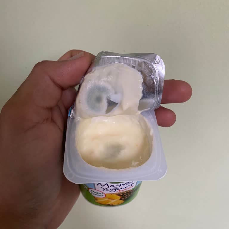 Sütaş Küflü Yoğurt (SKT Geçmediği Halde)