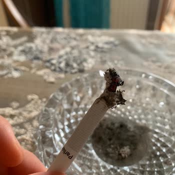 Philip Morris Sigaranın İçerisinden Odun Çıkması