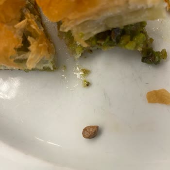 Dönerci Ahmet Usta Tatlıdan Taş Çıktı