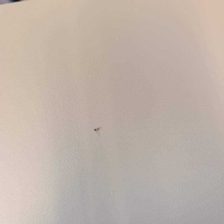 Köfteci Yusuf Sağlıklı Yaşam İçin Dikkat