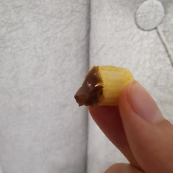 Oba Makarnanın İçinden Çıkan Madde